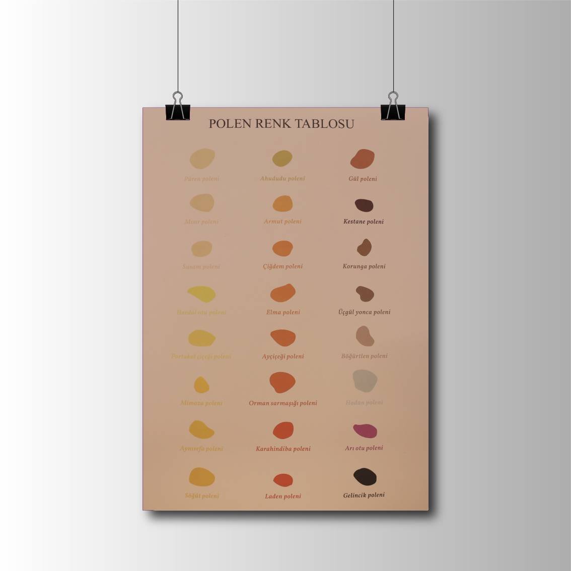 Bal ve Polen Çeşitleri Poster