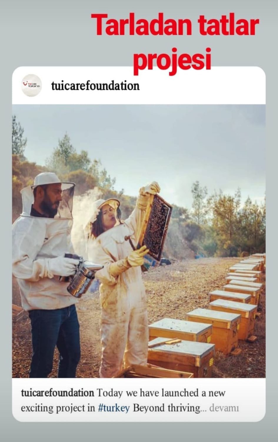 paye-bal-fethiye-(17)