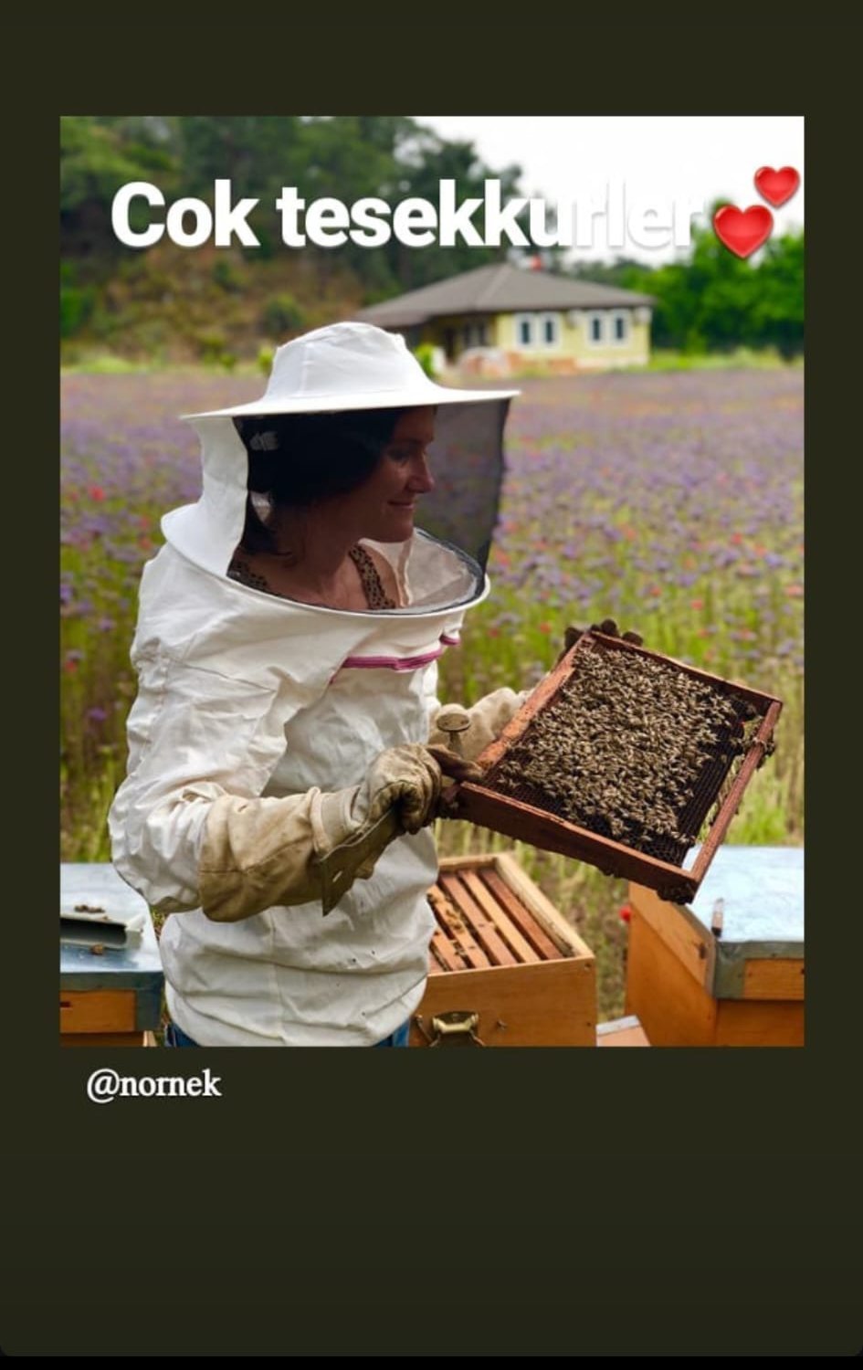 paye-bal-fethiye-(21)