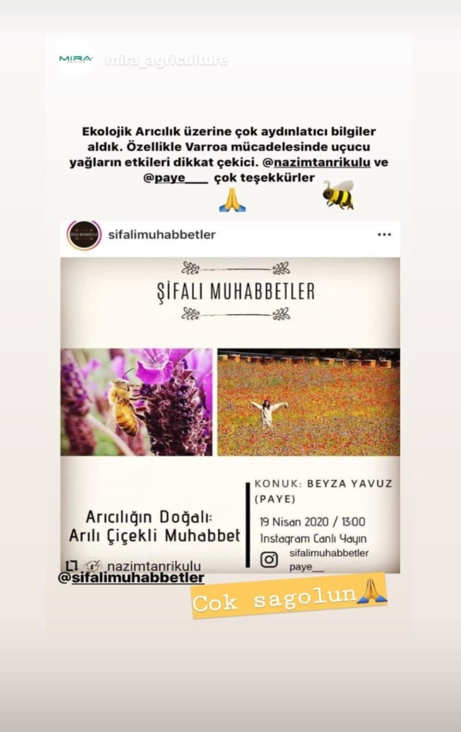 paye-bal-fethiye-(4)