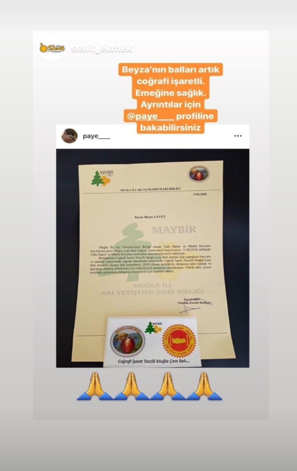 paye-bal-fethiye-(7)